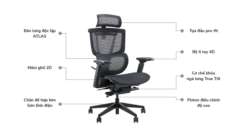 Ghế công thái học Epione Easy Chair